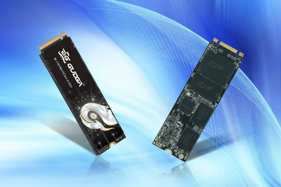 <center>SSD Memory Module</center>